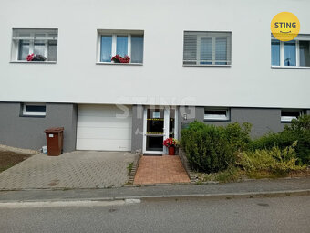 Pronájem bytu 1+1 ve Svratce, 134584 - 8