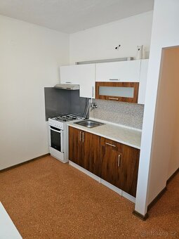 Prodám byt 1+1 v Hodoníně - 8