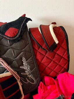 Vánoční balíček pro koně 🐎 - 8