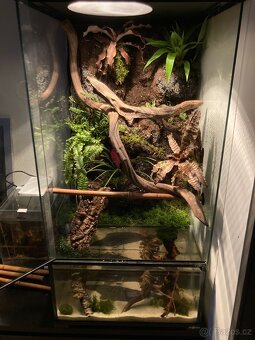 Terárium/Paludárium ReptiPlanet 45x45x90cm s 3D pozadím - 8