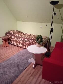 Podnájem podkrovního pokoje - 8