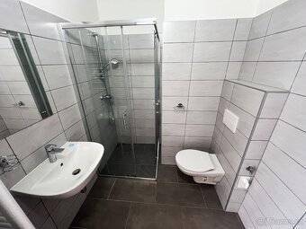 Pronajmu byt 1+kk v Třešti u Jihlavy - 8
