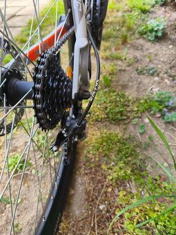 Kellys spider - 8