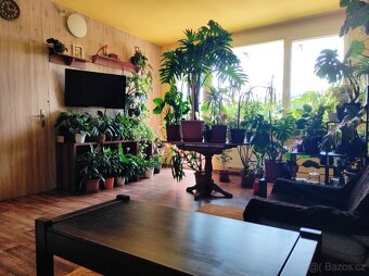 Prodej bytu 3+1 77 m² Mírové sídliště, Český Dub - 8