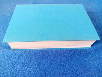 Kafka 1. - Rané roky - Reiner Stach (2016) - 8