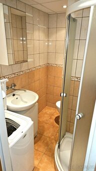 Pronájem bytu 1+kk, U Věžových domů 2936, Most - 8