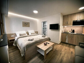 U Králíka Apartmány v centru Dolní Morava pod Bobovou dráhou - 8