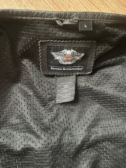 Vesta Harley Davidson - 8