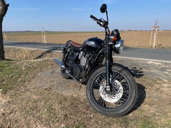 Triumf Bonneville t100 (2015) - 8