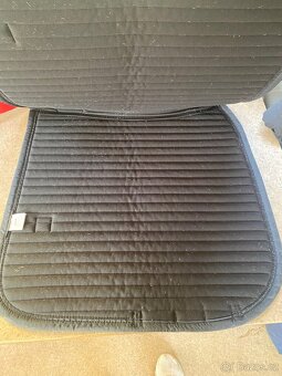 DL decky Kentucky, Eskadron - 8