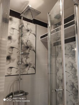 Pronájmu 2+KK v Karlovych Varech - 8