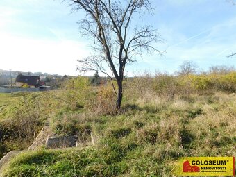 Znojmo, zahrada 609 m2, elektřina, voda, ovocné stromy - zah - 8