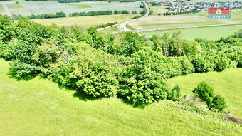 Prodej lesa, 12990 m², Vyšehoří - 8