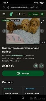 Pudl podvodníci ‼️‼️‼️ Stiahnuté fotky - 8