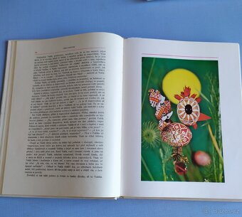 Zákulisí velkoměsta - Albatros, Slunečnice Moravské pohádky - 8