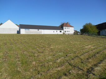 Prodám vícegenerační rodinný dům, prostory k podnikání - 8