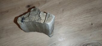Zkamenělé dřevo – nález Žatecko, 4 kg, pěti barevné - 8