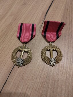 Medaile Prokopa Velkého a ČS vojsko v cizině. - 8