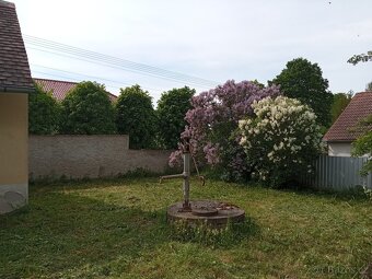 Prodej zemědělské usedlosti Březí,parcela 6658m2 - 8
