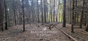 Prodej lesa 27 814 m², Morávka, ev.č. 00984 - 8