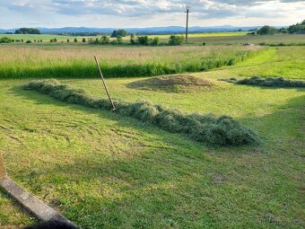 Domácí seno pro mazlíčky - 8