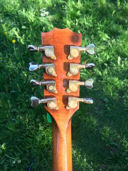 Irish Bouzouki - 8