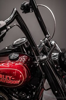 2021 Harley Davidson Softail Custom - 8
