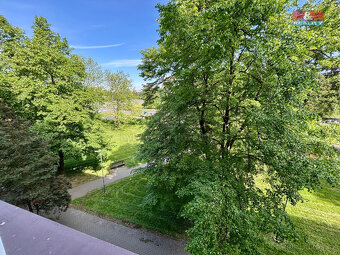 Prodej bytu 2+1, 55 m², Karviná, ul. Borovského - 8