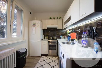 Prodej byty 2+1, 52 m2, Ostrava - Hrabůvka, ul. Závodní - 8