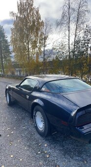 Pontiac Firebird 5.0 V8 1981 - 8