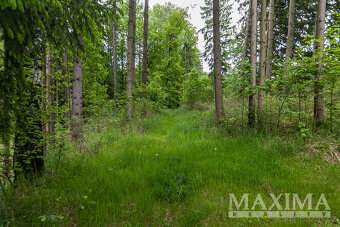 Pozemek  o ploše 14573 m2 - Višňová, Předlánce - 8