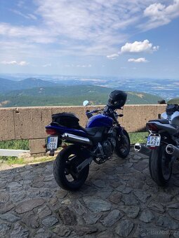 Honda cb600f hornet - 8