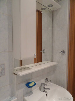 Pronájem bytu 2+1, 45 m2, Krumpach - Zábřeh - 8