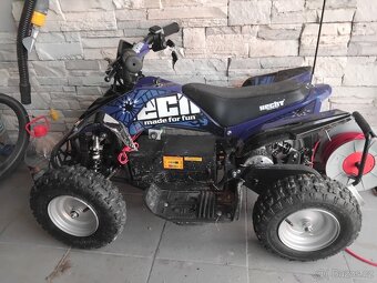 Goes 450 iron - 8