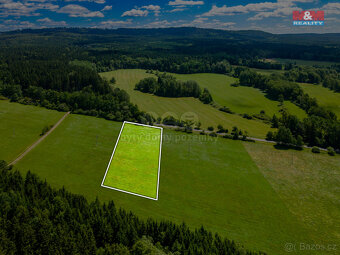 Prodej louky, 5551 m², Nové Mitrovice - 8