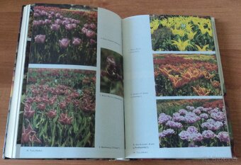 Zahrada Čtyři roční období / naše zahrádka - 8