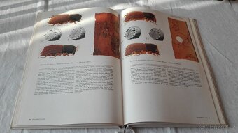 ATLAS hmyzích škůdců lesních dřevin - 8