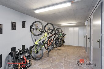 Prodej, byty/3+kk, 58 m2, Špičák 193, 34004 Železná Ruda, Kl - 8