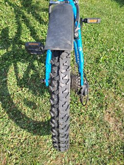 Superior Paint 20" - 8