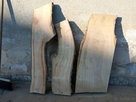 Fošny třešeň - 8