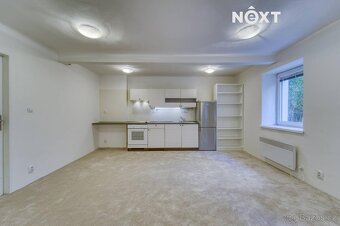 Pronájem byt 1+kk, 44㎡ - 8