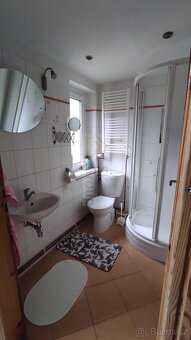 Pronájem bytu 1+1 K. Vary - Rybáře - 8