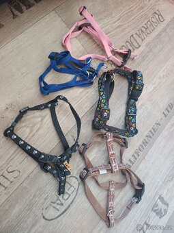 Potřeby pro psy - obojky, kšíry, vodítka, atd. - 8