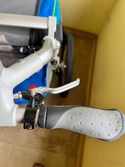 Thule Chariot CX1 - 8