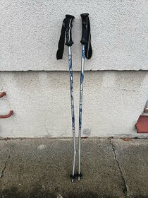 Sjezdové hůlky 105 cm, 110 cm, 115 cm, 130 cm - 8