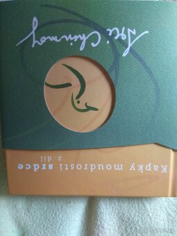 Drobné knížky a magnetky. - 8