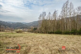 Prodej, pozemky/louka, 3901 m2, Dolní Rokytnice , Rokytnice - 8