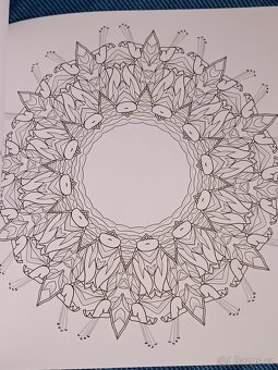 Omalovánky pro dospělé: Inspirativní a ............. - 8