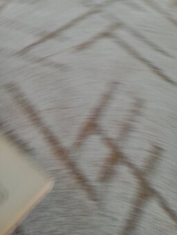 Sylvia Brinton Perera: Sestup k Bohyni - 8