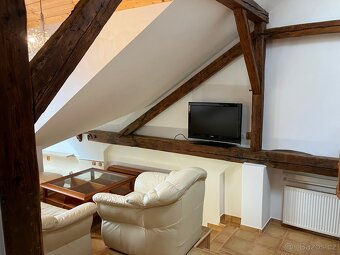 Pronájem bytu v centrum Českých Budějovic - 8